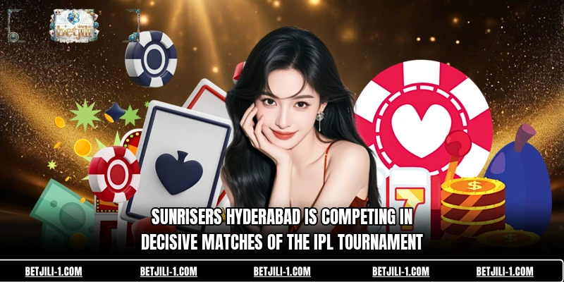 Sunrisers Hyderabad is competing in decisive matches of the IPL tournament