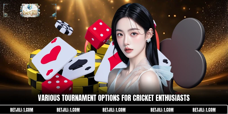 Various tournament options for cricket enthusiasts