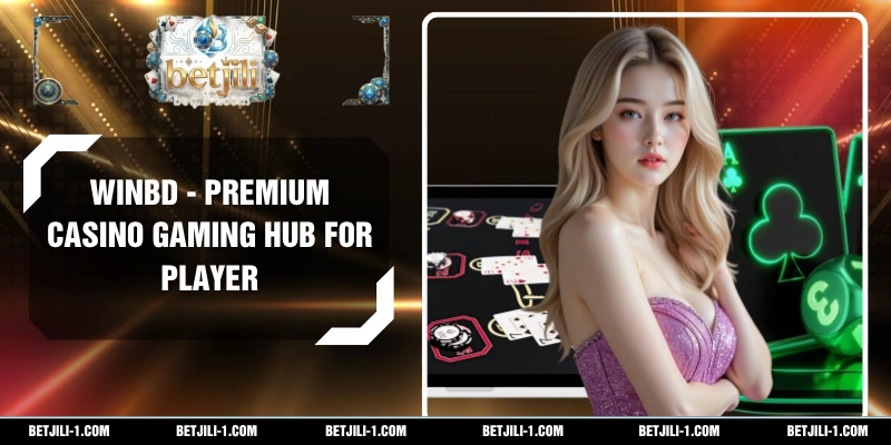 WINBD - Premium Casino Gaming Hub For Player